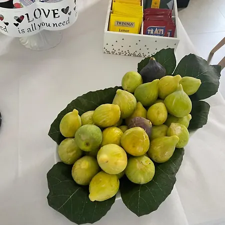Panzió Il Poggio Eccelso Ogliastro Cilento
